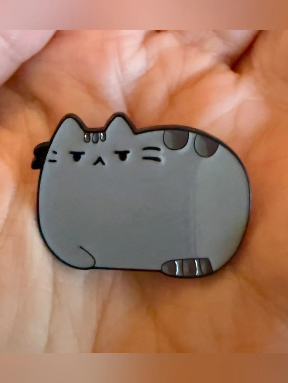 New Grumpy Pusheen the Cat Sour Face Enamel Lapel Pin Kawaii Cute Gift Kidcore